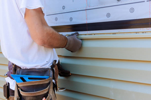 Affordable Emergency Siding Repair solutions in Naperville, IL