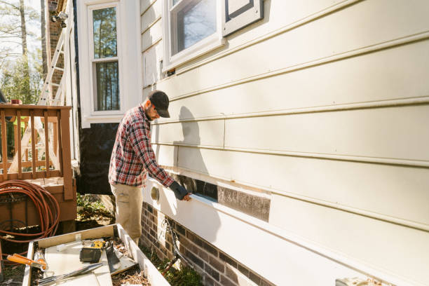 Top rated local Emergency Siding Repair specialists in Naperville, IL